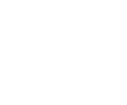 Evolution games at Royal Tiger Bet Casino